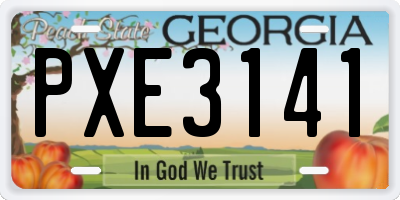 GA license plate PXE3141