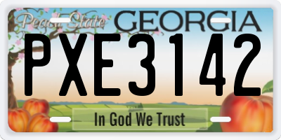 GA license plate PXE3142