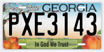 GA license plate PXE3143