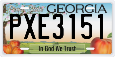 GA license plate PXE3151