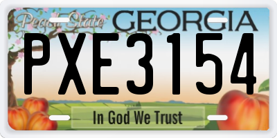 GA license plate PXE3154