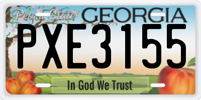 GA license plate PXE3155