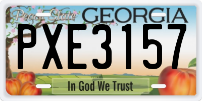 GA license plate PXE3157