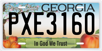 GA license plate PXE3160