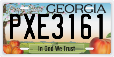 GA license plate PXE3161