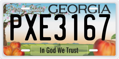GA license plate PXE3167