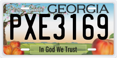 GA license plate PXE3169