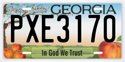 GA license plate PXE3170