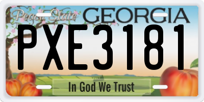 GA license plate PXE3181