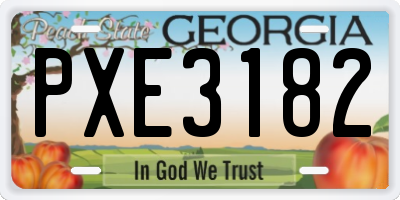 GA license plate PXE3182