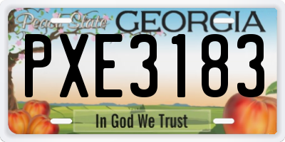 GA license plate PXE3183