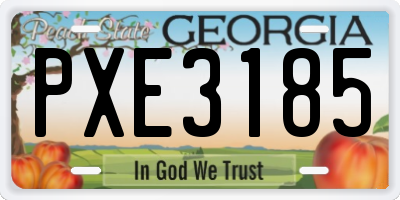 GA license plate PXE3185