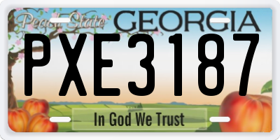 GA license plate PXE3187