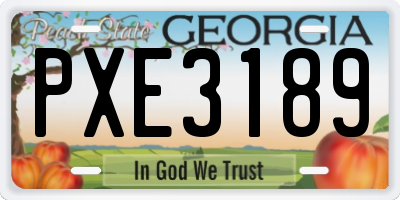 GA license plate PXE3189