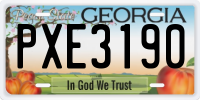 GA license plate PXE3190