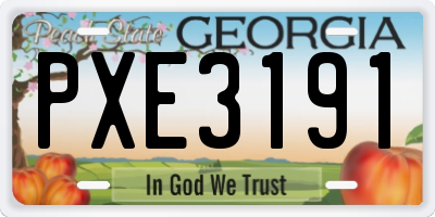 GA license plate PXE3191