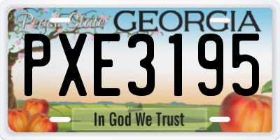 GA license plate PXE3195