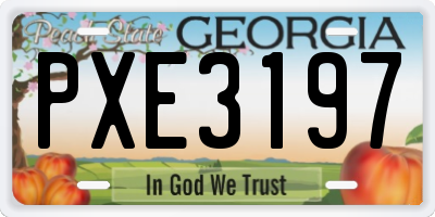 GA license plate PXE3197