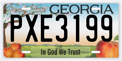 GA license plate PXE3199