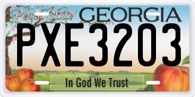 GA license plate PXE3203