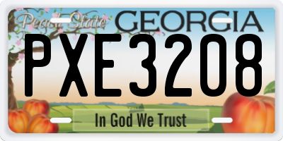 GA license plate PXE3208