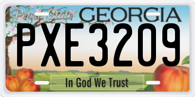 GA license plate PXE3209