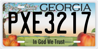 GA license plate PXE3217