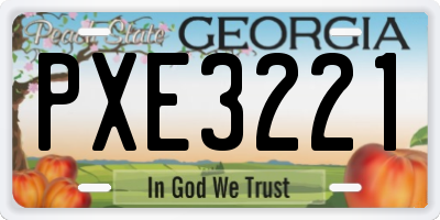 GA license plate PXE3221