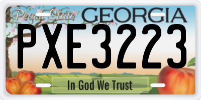 GA license plate PXE3223
