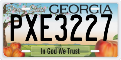 GA license plate PXE3227