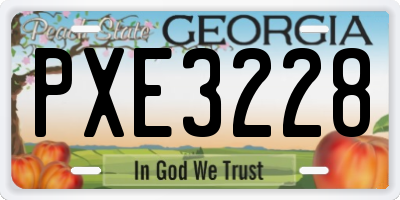 GA license plate PXE3228