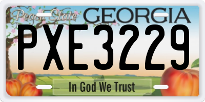 GA license plate PXE3229