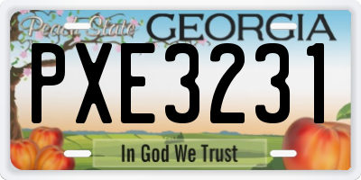 GA license plate PXE3231