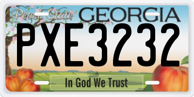 GA license plate PXE3232