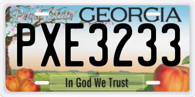 GA license plate PXE3233