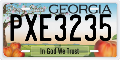 GA license plate PXE3235
