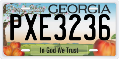 GA license plate PXE3236