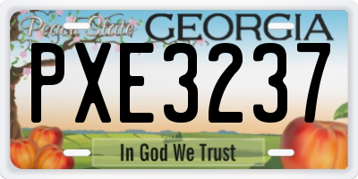 GA license plate PXE3237