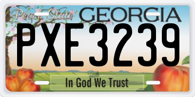 GA license plate PXE3239