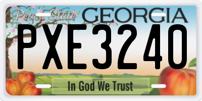 GA license plate PXE3240