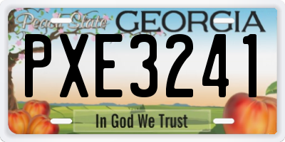 GA license plate PXE3241