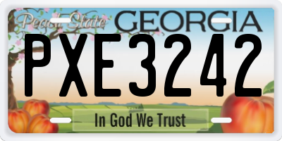 GA license plate PXE3242