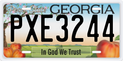 GA license plate PXE3244