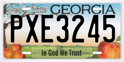 GA license plate PXE3245