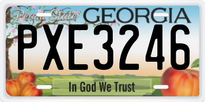 GA license plate PXE3246