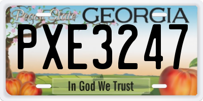 GA license plate PXE3247