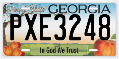 GA license plate PXE3248