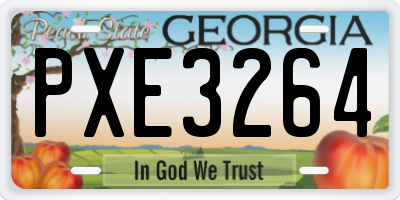 GA license plate PXE3264