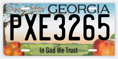 GA license plate PXE3265
