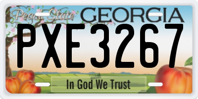 GA license plate PXE3267